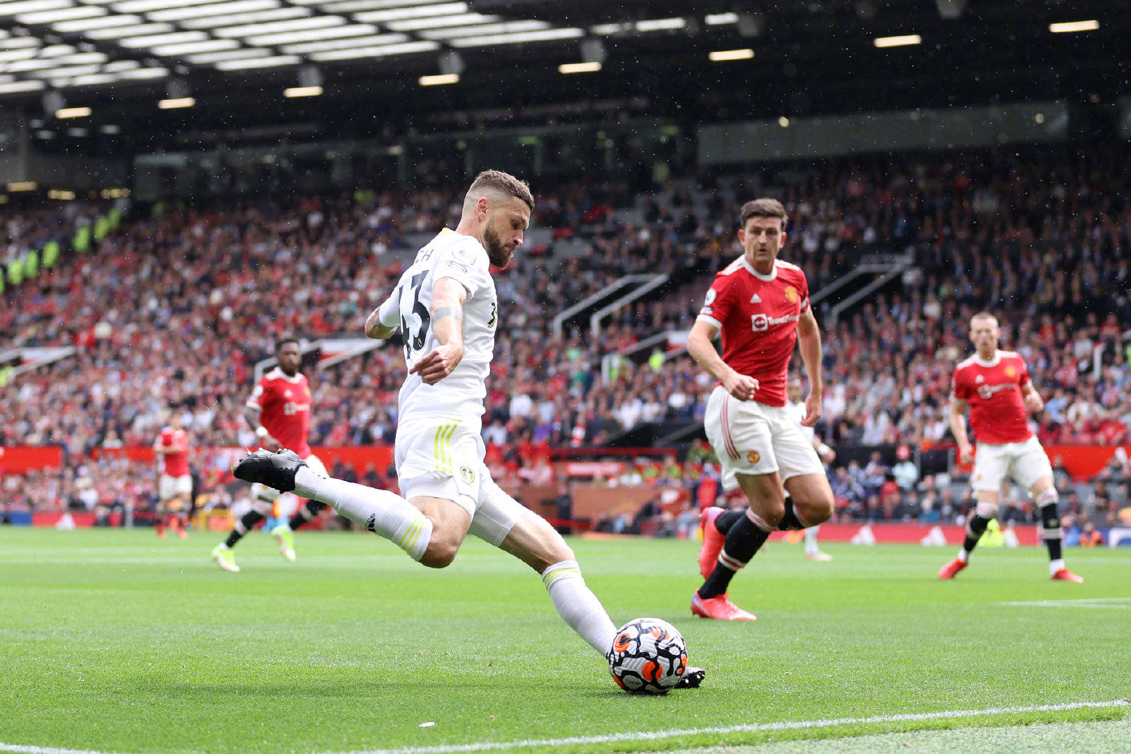 一个强大的 一个强大的