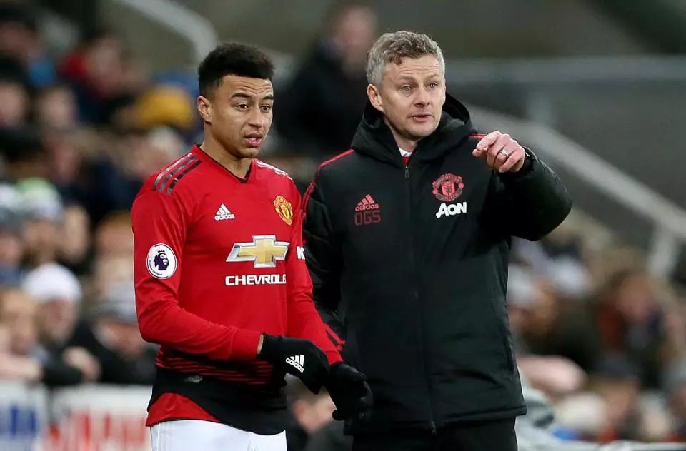 春光催人动 春光催人动